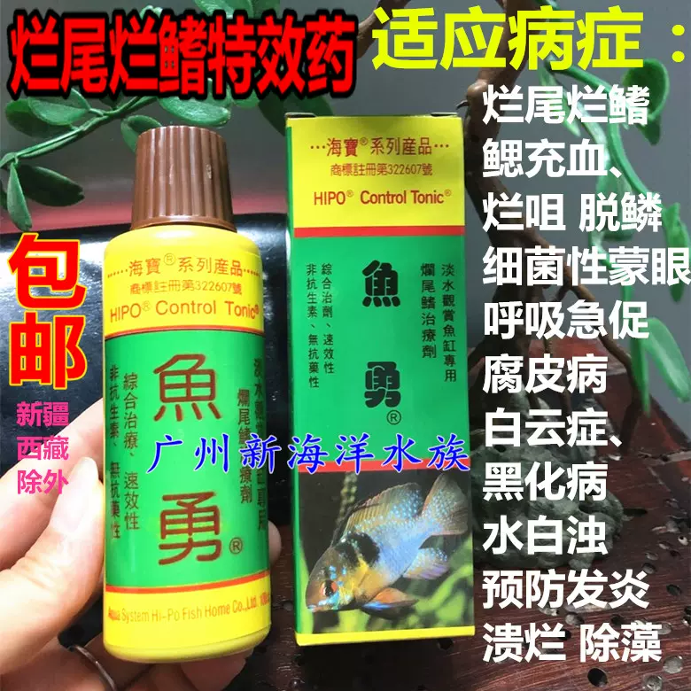 鱼充血烂尾 新人首单立减十元 21年11月 淘宝海外 鱼充血烂尾 新人首单立减十元 21年11月 淘宝海外