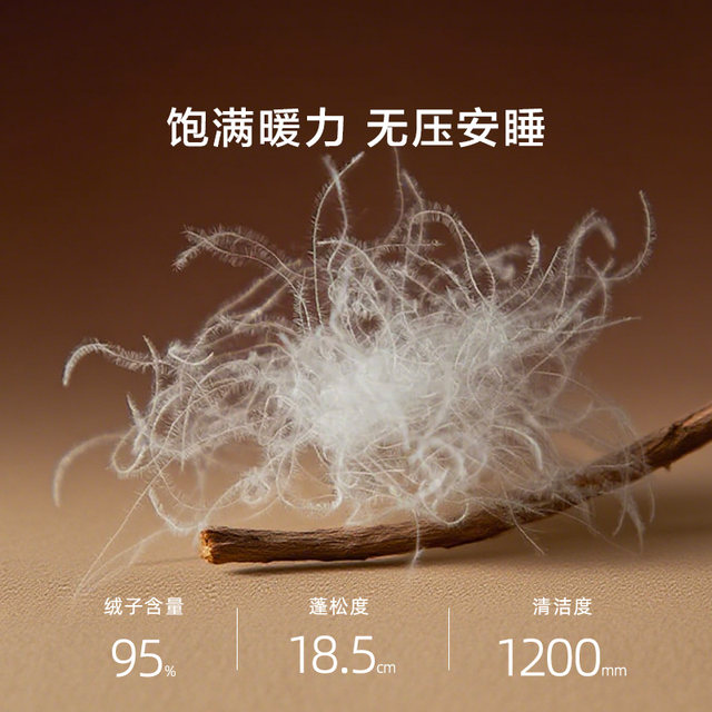 Luolai Home Textiles Down Quilt Core 95 white goose down quilt fluffy and warm spring and autumn quilt Tianshan Snow Goose thickened winter quilt