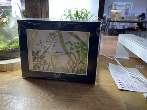 水草造景ada 新人首单立减十元 22年1月 淘宝海外