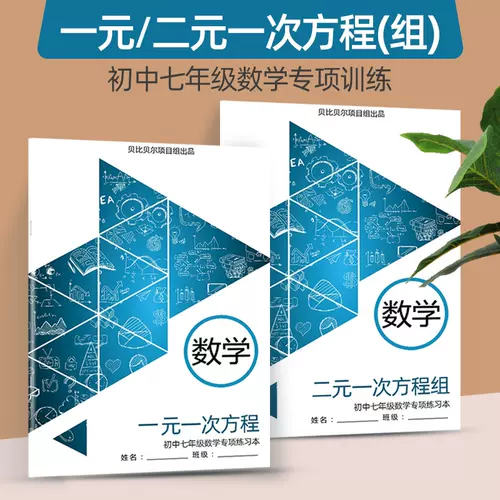 二元一次方程计算 新人首单立减十元 22年2月 淘宝海外