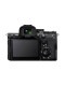 Sony/Sony Alpha 7RV A7RM5 full frame micro single and double image