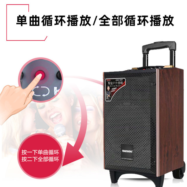 Temeson A8-24 Outdoor high-power square dance lever mobile sound zone wireless microphone K song Bluetooth speaker
