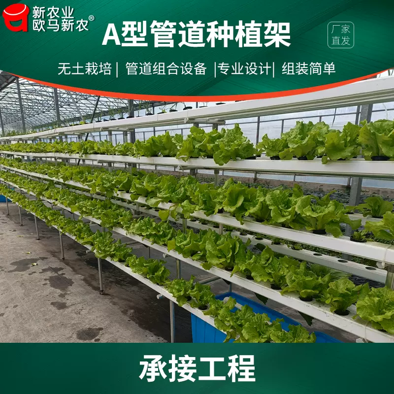 无土栽培设备植物工厂展示楼顶水培管道式叶菜蔬菜