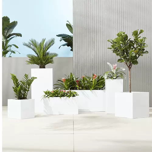 植物包柱 新人首单立减十元 22年2月 淘宝海外