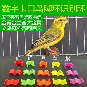 芙蓉鳥腳環 新人首單立減十元 22年11月 淘寶海外