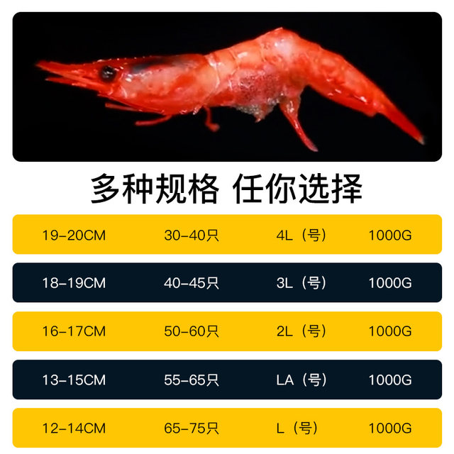 Russian raw sashimi sweet shrimp 1kg Japanese ingredients thawed ready-to-eat Arctic sweet shrimp imported seafood with mustard