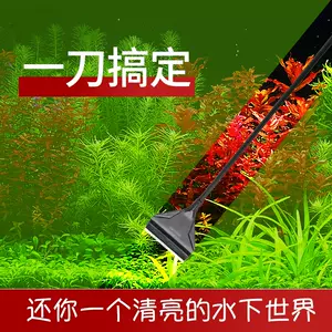 不锈钢刮苔器 新人首单立减十元 22年9月 淘宝海外