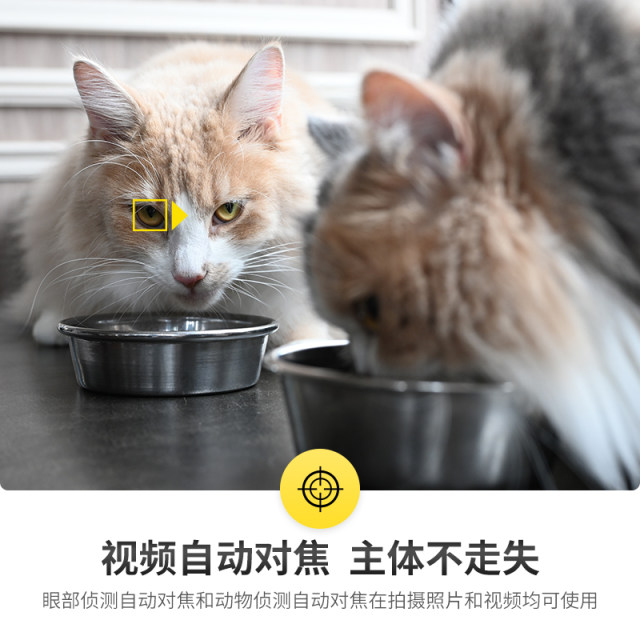 Nikon/Nikon Z6II full frame micro single camera HD travel video vlog live broadcast