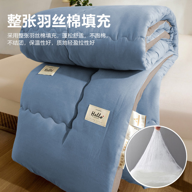 Class A quilt quilt core warm winter quilt student dormitory single spring and autumn quilt universal winter thickened cotton quilt