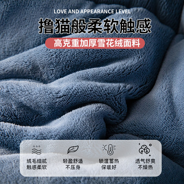 Lamb velvet quilt 2025 new winter quilt core winter single dormitory autumn and winter quilt thickened to keep warm 10Jin [Jin equals 0.5 kg]