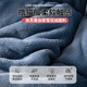 Lamb velvet quilt 2025 new winter quilt core winter single dormitory autumn and winter quilt thickened to keep warm 10Jin [Jin equals 0.5 kg]
