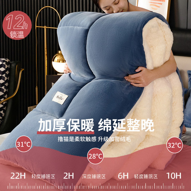 Lamb velvet quilt 2025 new winter quilt core winter single dormitory autumn and winter quilt thickened to keep warm 10Jin [Jin equals 0.5 kg]