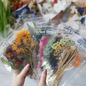 秋花素材 新人首单立减十元 22年7月 淘宝海外 秋花素材 新人首单立减十元 22年7月 淘宝海外