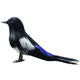 Simulation magpie feather ornaments craftsmanship gardening props fake bird non -living body home jewelry decoration hot -selling living room
