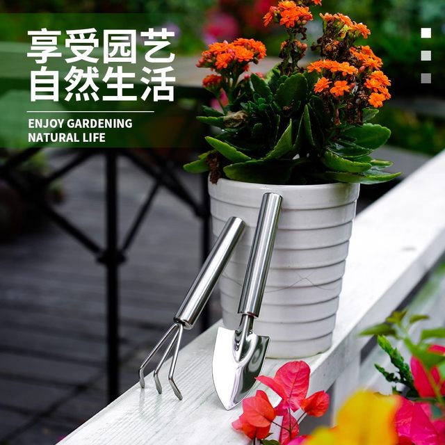 Cauliflower shovel gardening tool mini set outdoor shovel balcony potted stainless steel household loose soil rake