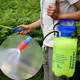 Manual air pressure sprayer agricultural 8 liter sprayer gardening tool watering flower kettle 5 liter large capacity watering kettle