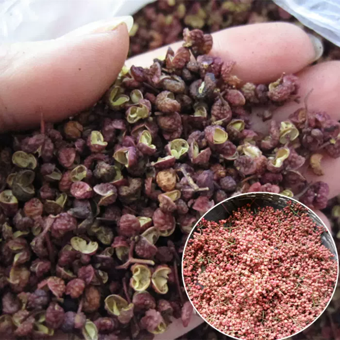 四川特产广元特级贡椒麻椒花椒苍溪农家自种花椒山椒