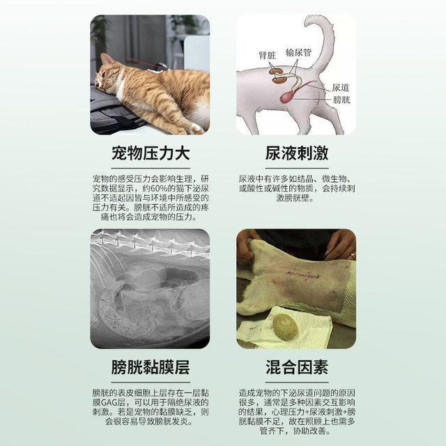 Fresh Look at Diuretic For Cats Cat Urinary System Medicine For Stones Urinary