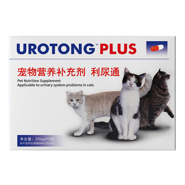 Curated visual reference: Diuretic For Cats Cat Urinary System Medicine For Stones Urinary Photo Inspiration