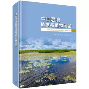 湿地花 新人首单立减十元 22年7月 淘宝海外