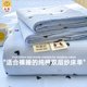 Class A pure cotton bed sheet single piece 2025 new thickened cotton double-layer yarn quilt dormitory single pillowcase three-piece set 3