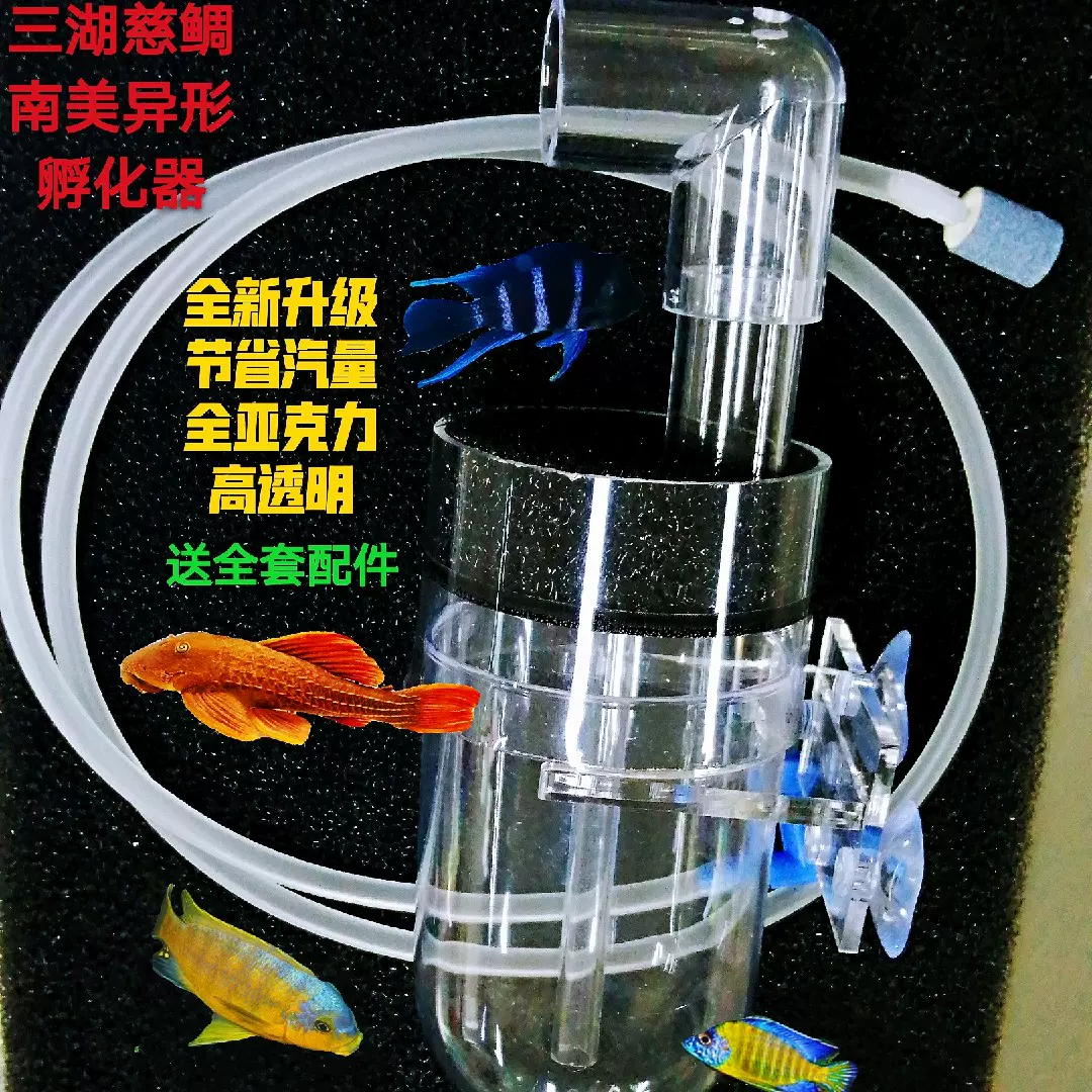 三湖慈鲷孵化器鱼卵孵化器异型孵化器鼠鱼孵化器圆底孵化器