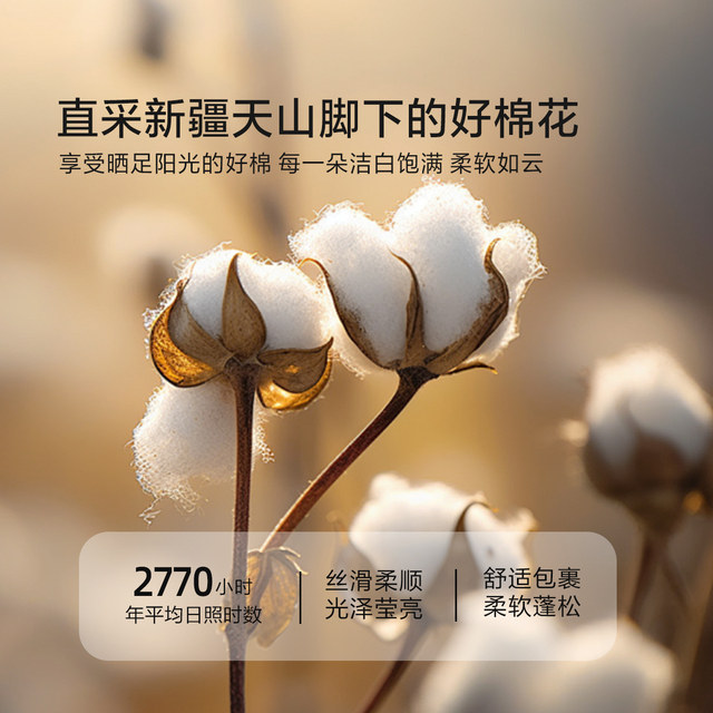 Mercury Home Textiles cotton quilt winter quilt core Xinjiang cotton quilt pure cotton spring and autumn quilt four seasons quilt