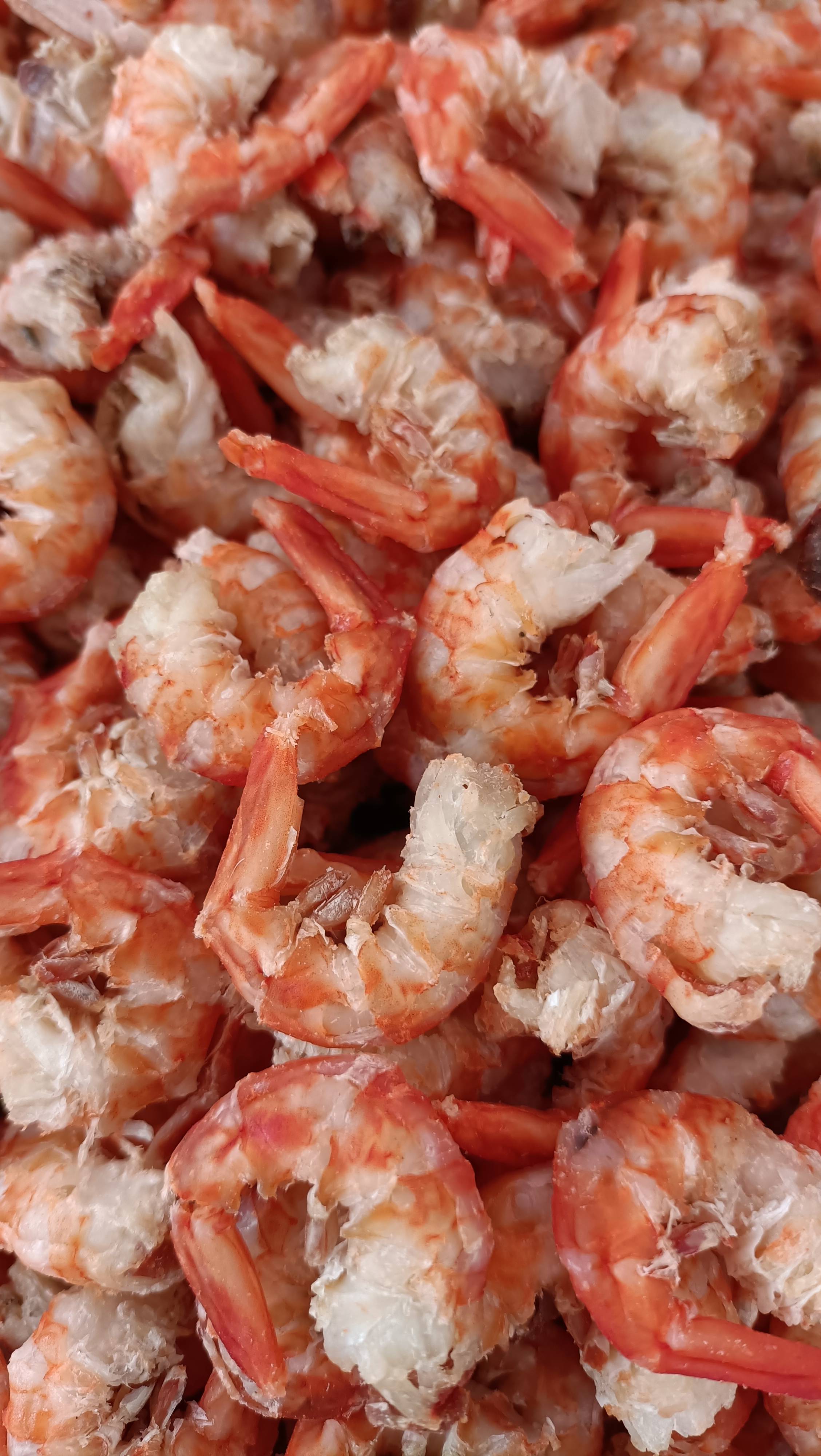 金钩虾米共找到1152件商品