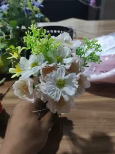 宜家盆栽 新人首单立减十元 22年5月 淘宝海外