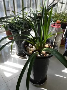 四季兰土 新人首单立减十元 22年3月 淘宝海外