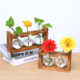 Creative wooden frame hydroponic glass vase green dill water-cultured plant flower device office home gardening desktop display decoration