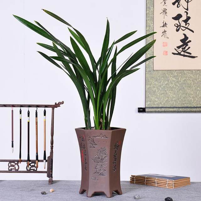 Purple Clay Ceramic Orchid Pot Large Home Gardening Plant Planting Spider Plants Bonsai Clivia Round Flower Pot