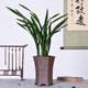 Purple Clay Ceramic Orchid Pot Large Home Gardening Plant Planting Spider Plants Bonsai Clivia Round Flower Pot