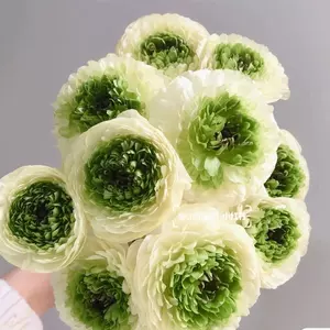 牡丹花种球 新人首单立减十元 22年3月 淘宝海外