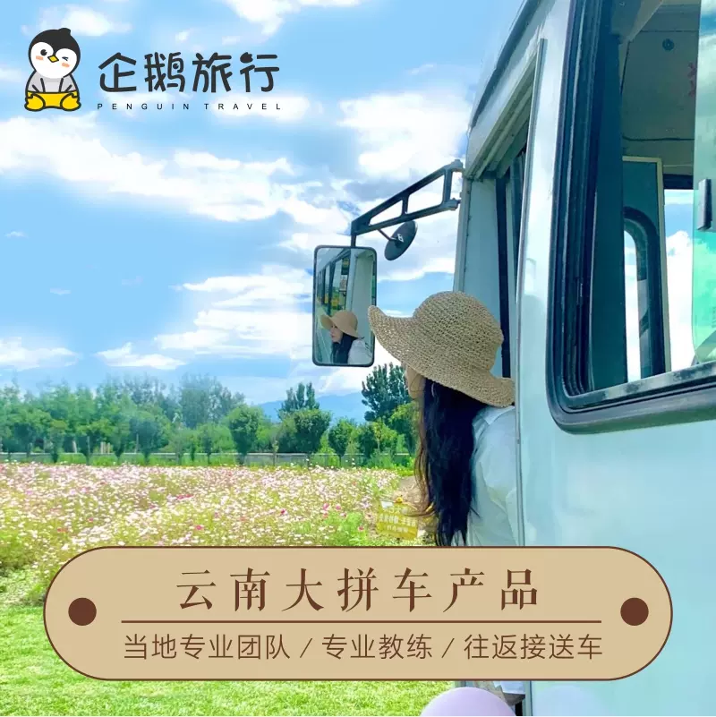 高铁一日游 新人首单立减十元 2021年12月 淘宝海外
