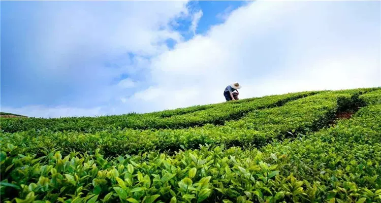 【揭阳玉湖山生态园天气预报】最新实时一周天气,揭阳旅游指数/交通