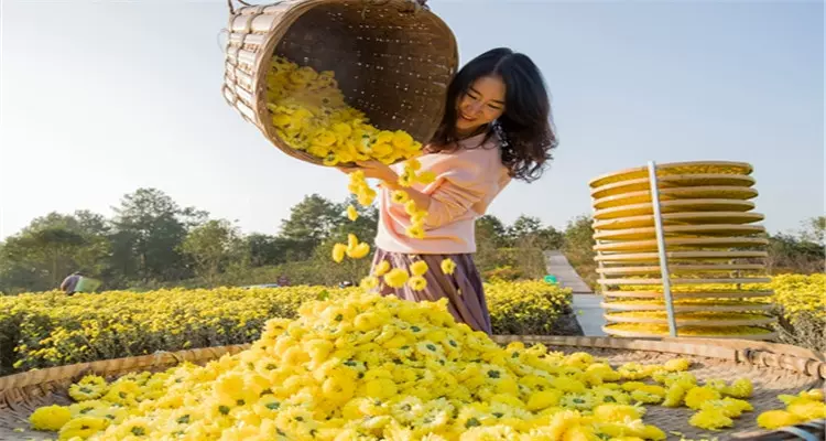 慢谷森林花园图片