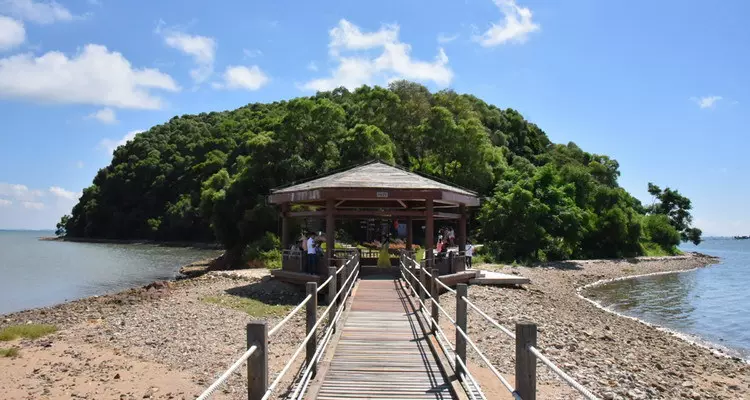 海陵岛红树林国家湿地公园图片