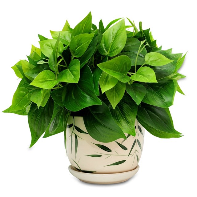 Green Simulation Green Plants Set Simulation Flower Plants Plant Home Living Room Decoration Potted Popular Furnishings Office Swing