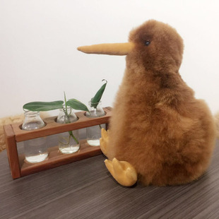 新西兰纯羊驼毛手工制作Kiwi鸟
