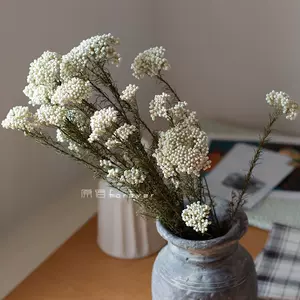 永生小米花 Top 4000件永生小米花 22年12月更新 Taobao