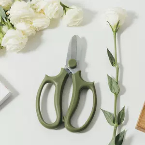花剪园艺剪刀花枝剪 新人首单立减十元 22年9月 淘宝海外