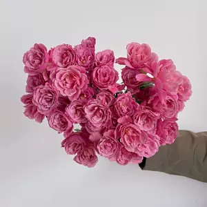 茶色玫瑰 Top 6000件茶色玫瑰 22年12月更新 Taobao 茶色玫瑰 Top 6000件茶色玫瑰 22年12月更新 Taobao