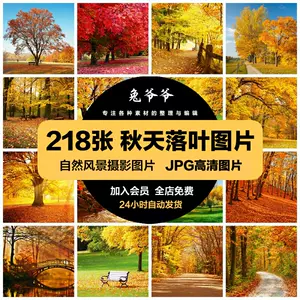 紅葉圖 Top 5000件紅葉圖 23年2月更新 Taobao