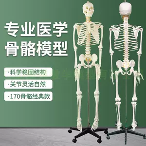 人体骨骼模型-新人首单立减十元-2022年10月|淘宝海外