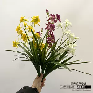 紫盆花种子 新人首单立减十元 22年9月 淘宝海外