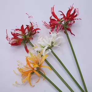 彼岸花道具 新人首單立減十元 22年9月 淘寶海外