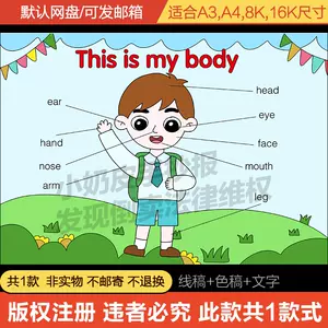 身体部位英语 Top 0件身体部位英语 23年1月更新 Taobao