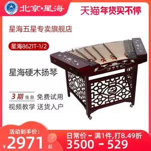 ✨希少 中国 打弦楽器 揚琴 ハードケース付 □国内直営店□ kikuchi