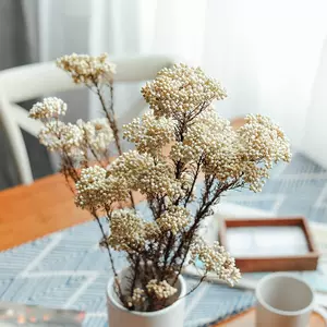 小米花干 新人首单立减十元 22年9月 淘宝海外